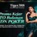 Tiger388 Slot BNI Online Gampang Menang Hari Ini