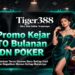 TigerBet388 Pola Slot Jackpot Mudah Menang Besar